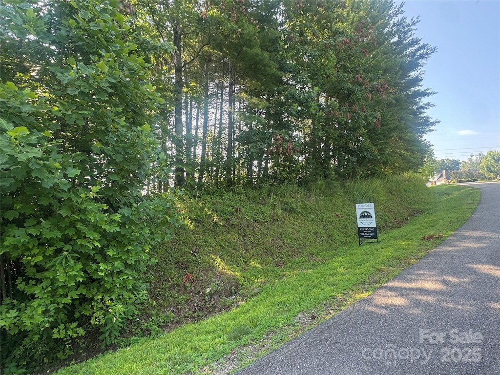 35 Nader Ave, Weaverville, NC 28787 - photo 1