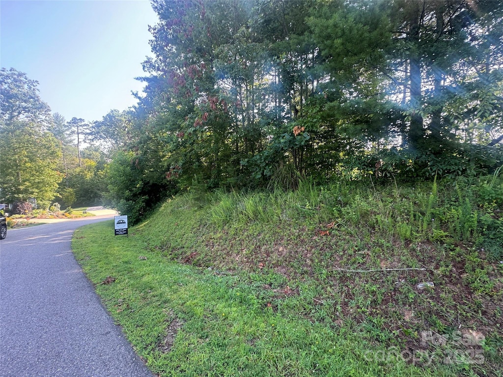 35 Nader Ave, Weaverville, NC 28787 - photo 2