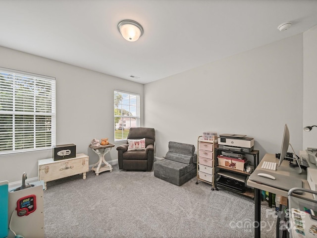8810 Crape Myrtle Dr, Stanfield, NC 28163 - office area featuring carpet flooring