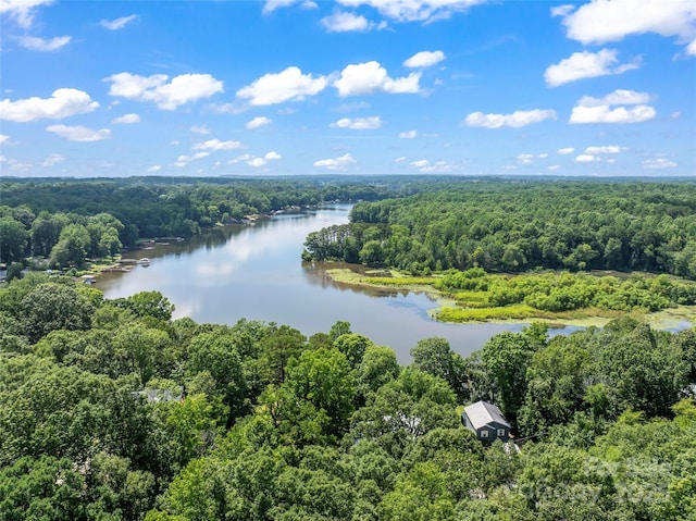 6724 Riverfront Dr, Charlotte, NC 28216 - aerial view of a heavily wooded area and a nearby body of water