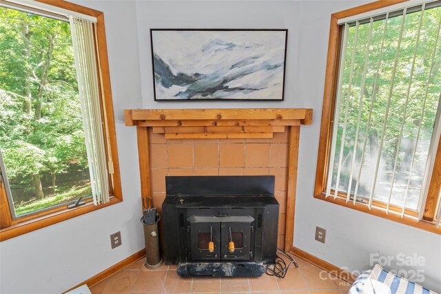 6724 Riverfront Dr, Charlotte, NC 28216 - detailed view of a wood stove and baseboards