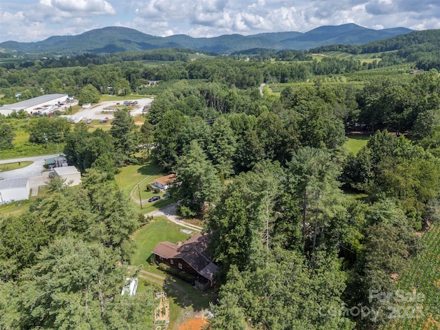 47 Granny Apple Rd, Hendersonville, NC 28792 - photo 38