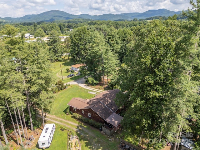 47 Granny Apple Rd, Hendersonville, NC 28792 - photo 39