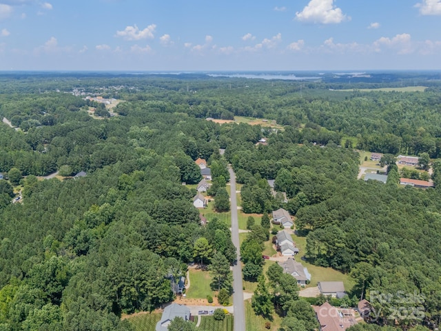 1594 High Ridge Dr, Stanley, NC 28164 - photo 46