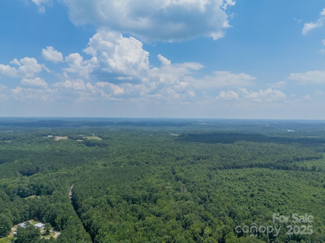 1594 High Ridge Dr, Stanley, NC 28164 - photo 47