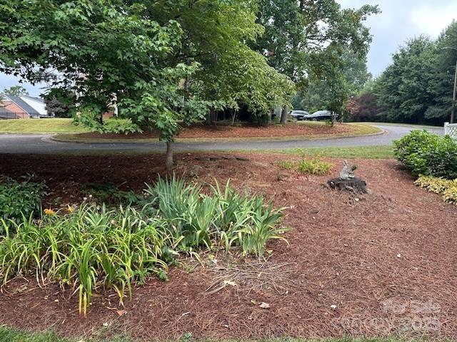 1678 Robins Nest Ct Unit B, Gastonia, NC 28054 - view of yard