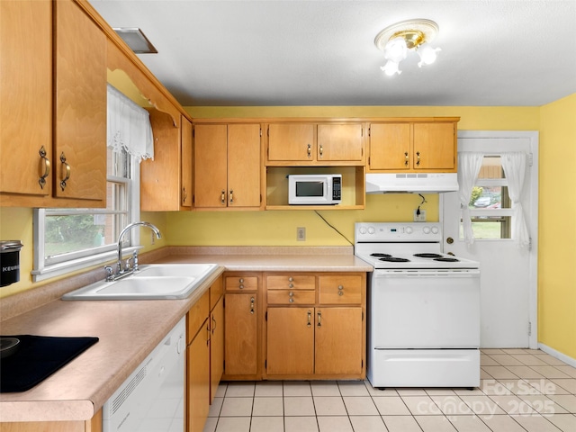 7 Morgan Blvd, Arden, NC 28704 - photo 8