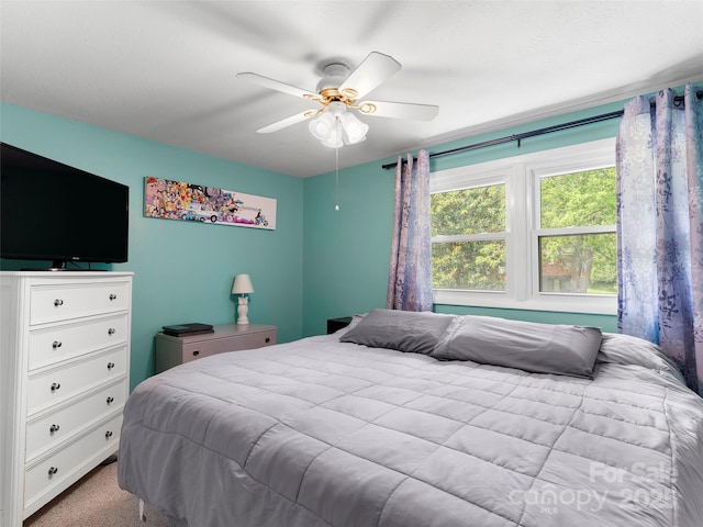 7 Morgan Blvd, Arden, NC 28704 - photo 11