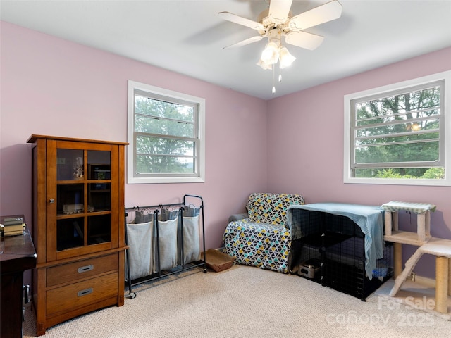 7 Morgan Blvd, Arden, NC 28704 - photo 19