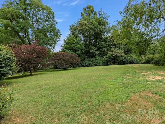 7 Morgan Blvd, Arden, NC 28704 - photo 29