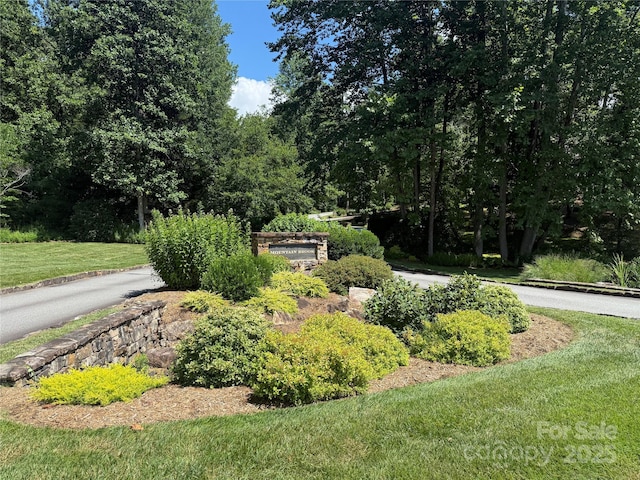 00000 Mountain Brook Trail 37, Brevard, NC 28712 - photo 1