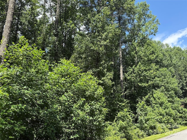 00000 Mountain Brook Trail 37, Brevard, NC 28712 - photo 4