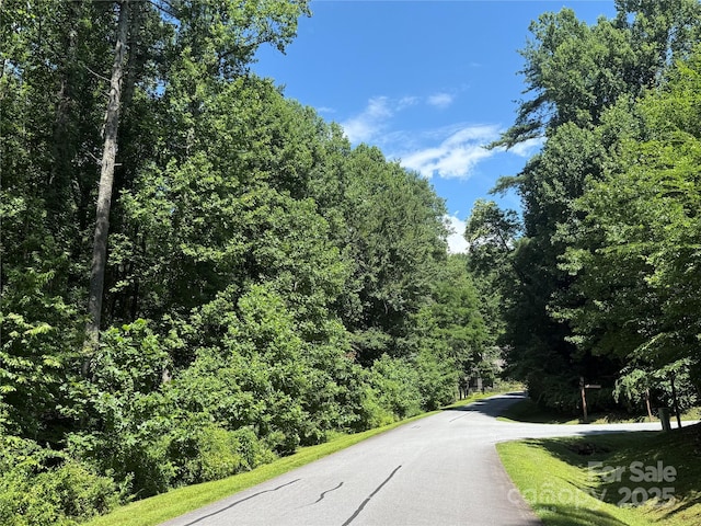 00000 Mountain Brook Trail 37, Brevard, NC 28712 - photo 5