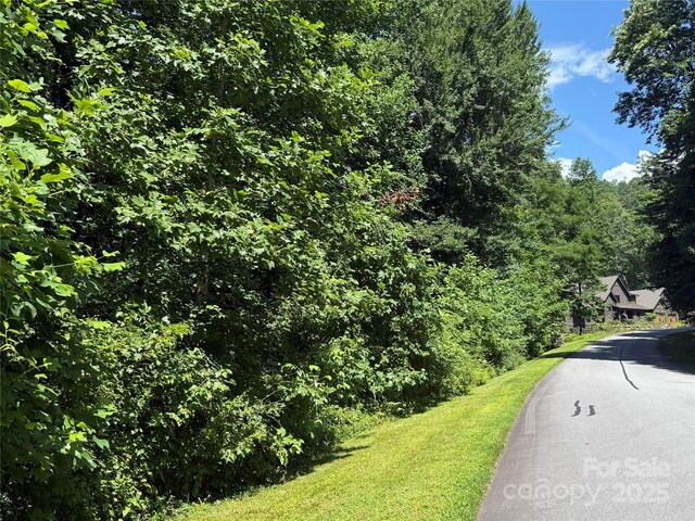 00000 Mountain Brook Trail 37, Brevard, NC 28712 - photo 6
