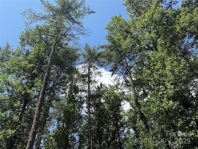 00000 Mountain Brook Trail 37, Brevard, NC 28712 - photo 7