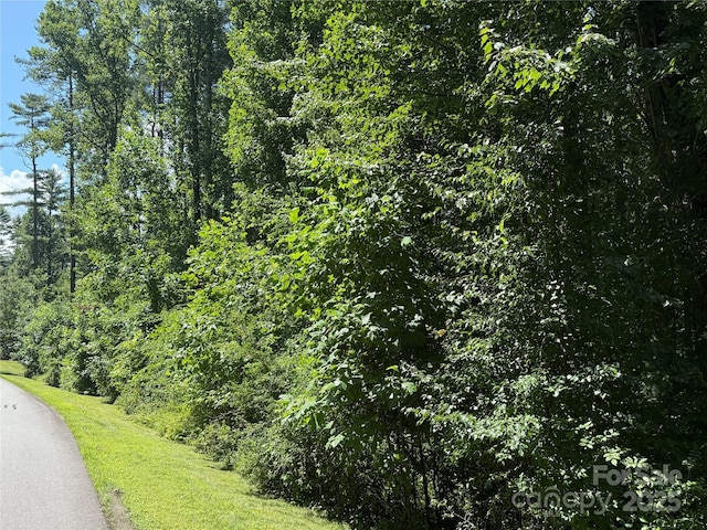 00000 Mountain Brook Trail 37, Brevard, NC 28712 - photo 8
