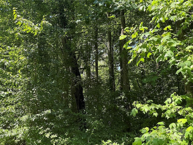 00000 Mountain Brook Trail 37, Brevard, NC 28712 - photo 9