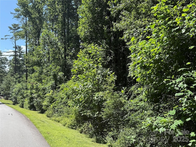 00000 Mountain Brook Trail 37, Brevard, NC 28712 - photo 10