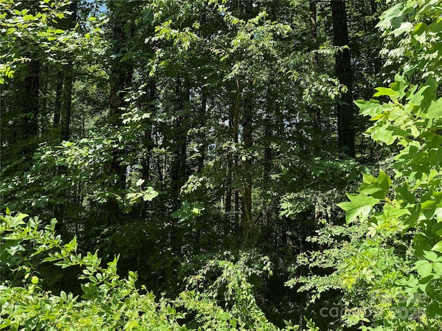 00000 Mountain Brook Trail 37, Brevard, NC 28712 - photo 11