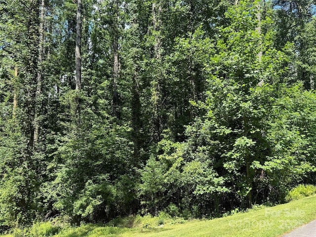 00000 Mountain Brook Trail 37, Brevard, NC 28712 - photo 12