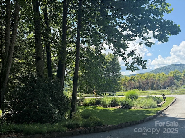 00000 Mountain Brook Trail 37, Brevard, NC 28712 - photo 13