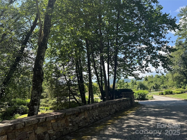 00000 Mountain Brook Trail 37, Brevard, NC 28712 - photo 14