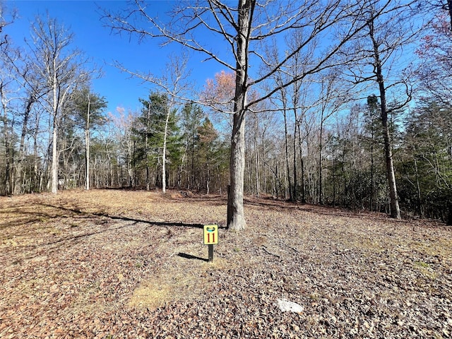 11 Arbor Creek Trl Unit 11, Mineral Bluff, GA 30559