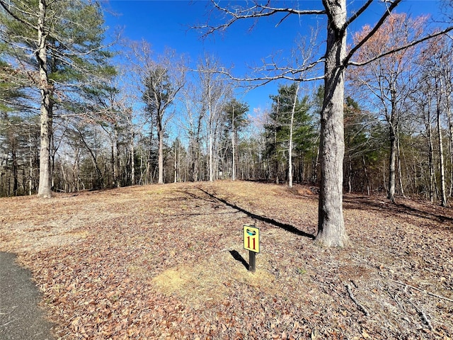 11 Arbor Creek Trl Unit 11, Mineral Bluff, GA 30559