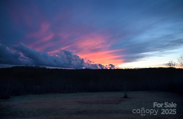 1924 Junction Rd, Mocksville, NC 27028 - view of yard at dusk