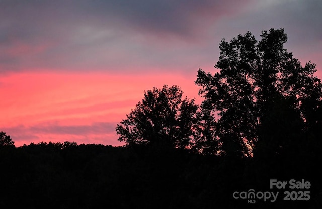 1924 Junction Rd, Mocksville, NC 27028 - view of local wilderness