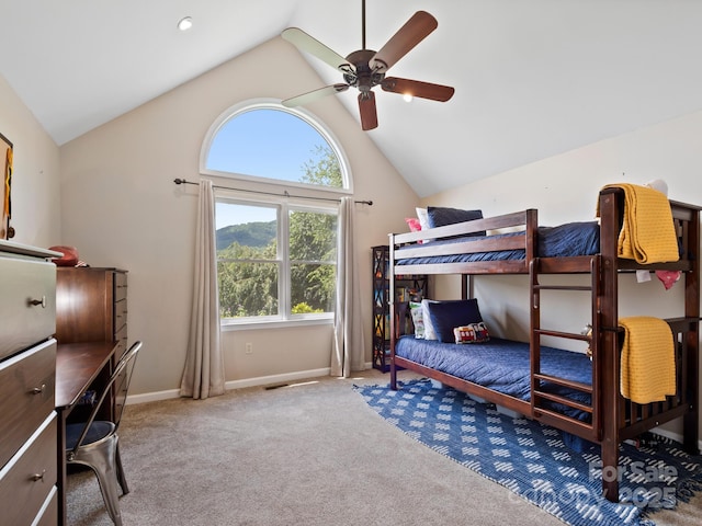 3 Neighborly Dr, Candler, NC 28715 - photo 27