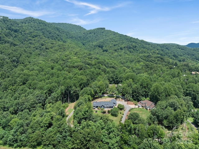 3 Neighborly Dr, Candler, NC 28715 - photo 44