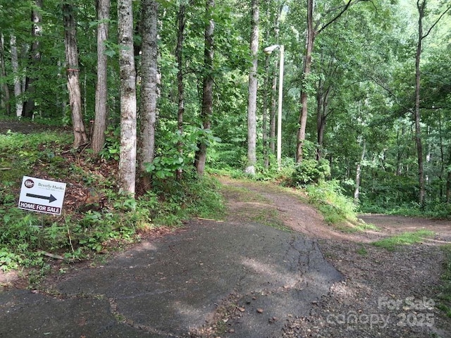 152 Dream Mountain Blvd, Canton, NC 28716 - photo 16