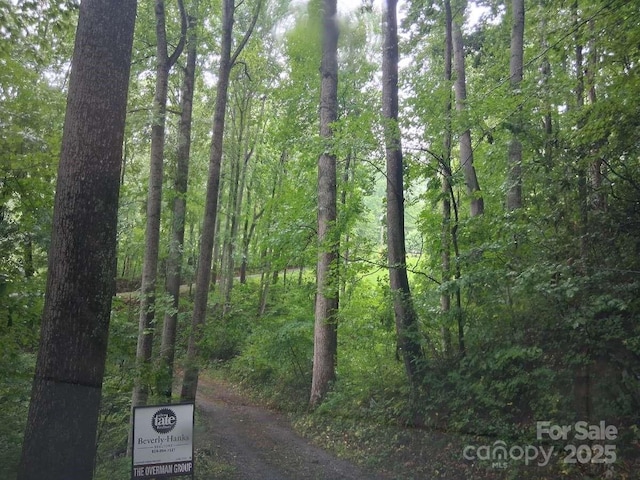 152 Dream Mountain Blvd, Canton, NC 28716 - photo 17