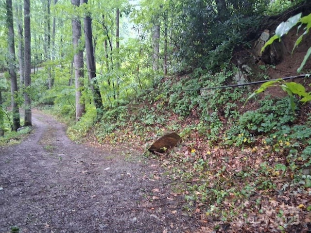 152 Dream Mountain Blvd, Canton, NC 28716 - photo 18