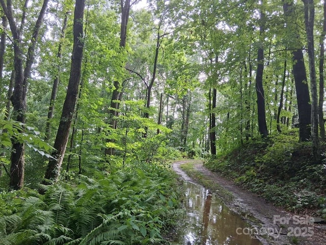 152 Dream Mountain Blvd, Canton, NC 28716 - photo 21
