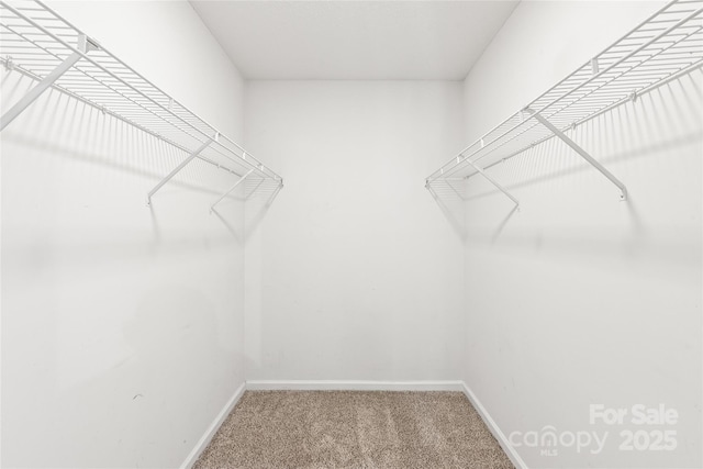 12802 Hedgeway Dr, Charlotte, NC 28278 - photo 28