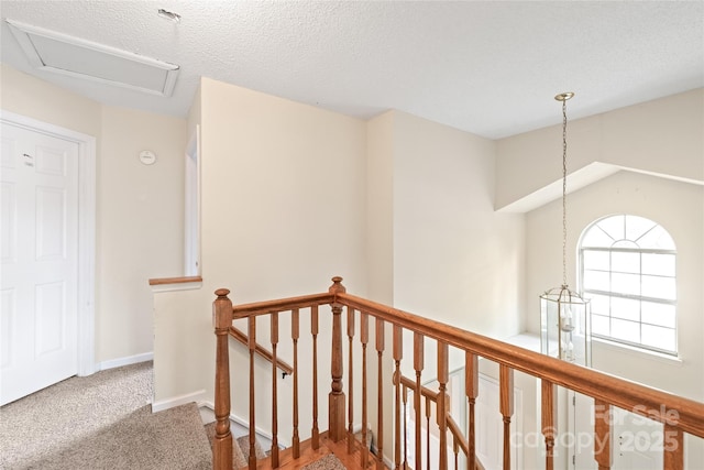 12802 Hedgeway Dr, Charlotte, NC 28278 - photo 29