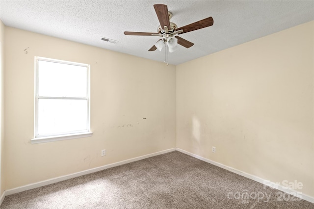 12802 Hedgeway Dr, Charlotte, NC 28278 - photo 33