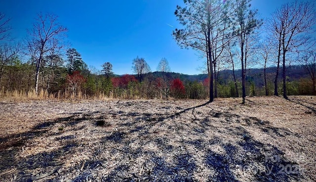 21 Arbor Creek Trl Unit 21, Mineral Bluff, GA 30559