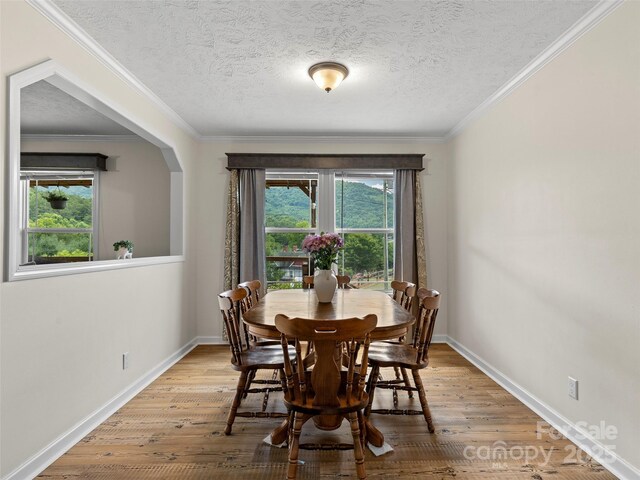 40 Sunset Hts, Canton, NC 28716 - photo 7