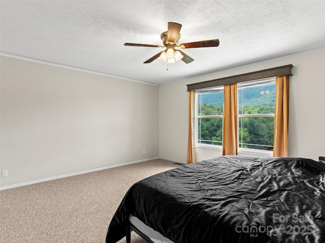 40 Sunset Hts, Canton, NC 28716 - photo 14