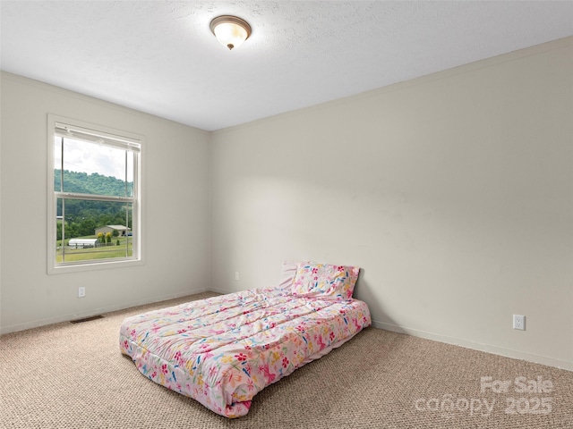 40 Sunset Hts, Canton, NC 28716 - photo 18