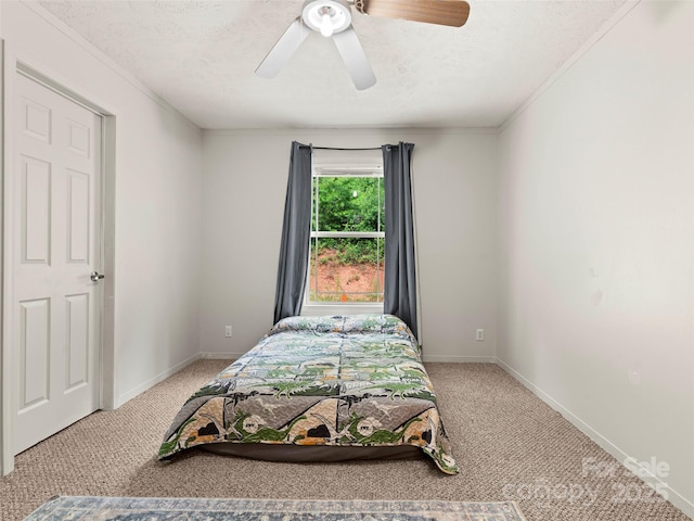 40 Sunset Hts, Canton, NC 28716 - photo 21