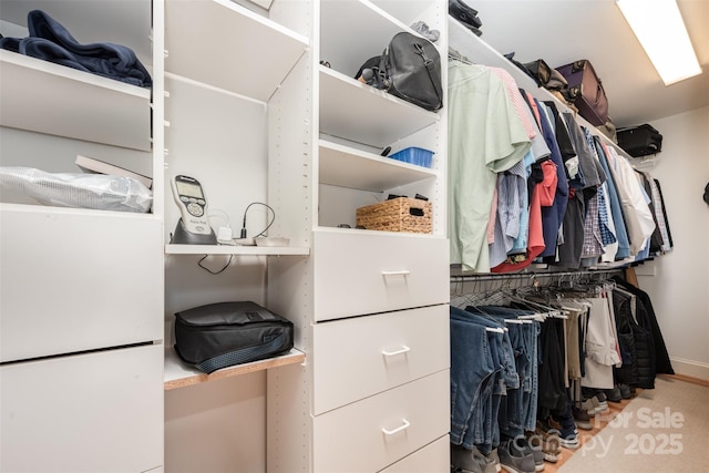 7119 Folger Dr, Charlotte, NC 28270 - view of walk in closet