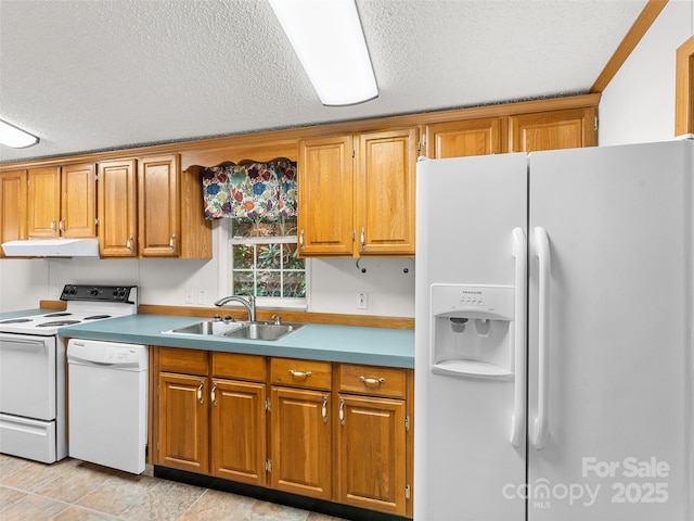 946 Turkey Pen Gap Rd, Horse Shoe, NC 28742 - photo 11
