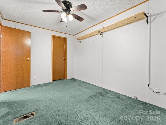 946 Turkey Pen Gap Rd, Horse Shoe, NC 28742 - photo 16