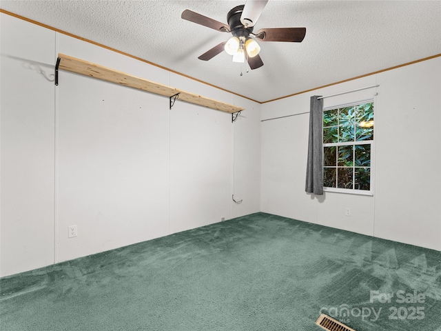 946 Turkey Pen Gap Rd, Horse Shoe, NC 28742 - photo 17