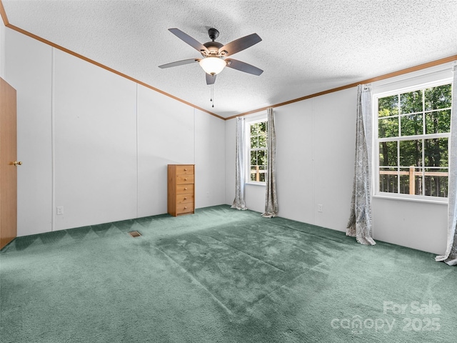 946 Turkey Pen Gap Rd, Horse Shoe, NC 28742 - photo 18