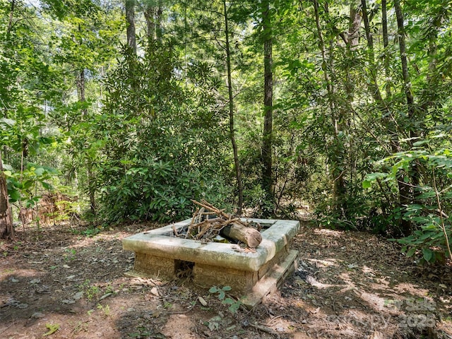 946 Turkey Pen Gap Rd, Horse Shoe, NC 28742 - photo 25